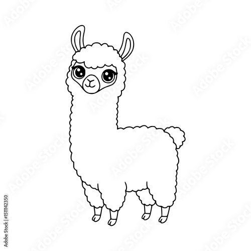 Llama drawing illustration for kids coloring book