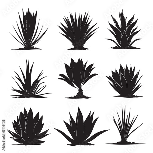 agave silhouette set, Black silhouette