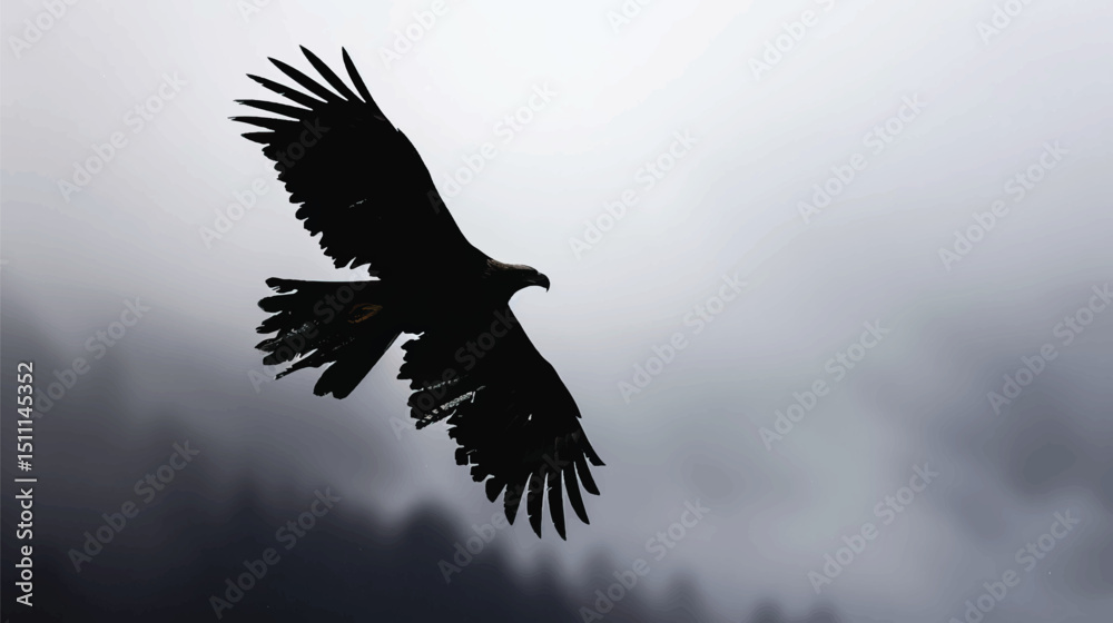 Fototapeta premium eagle silhouette, fliying bird silhouette