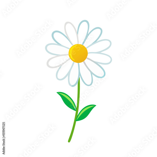 Flat Daisy Flower with Stem – Minimal Style