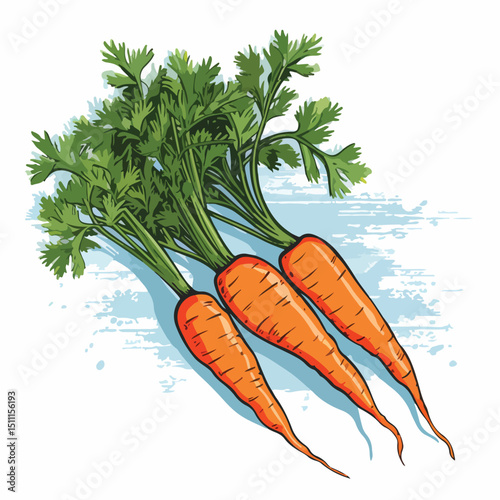 Illustration of Fresh Carrots Vegetable with Blue Lines on White Background