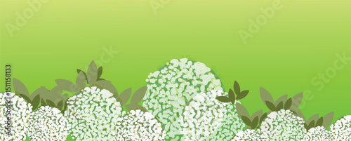 Wallpaper Mural White hydrangeas blooming on light green background Torontodigital.ca