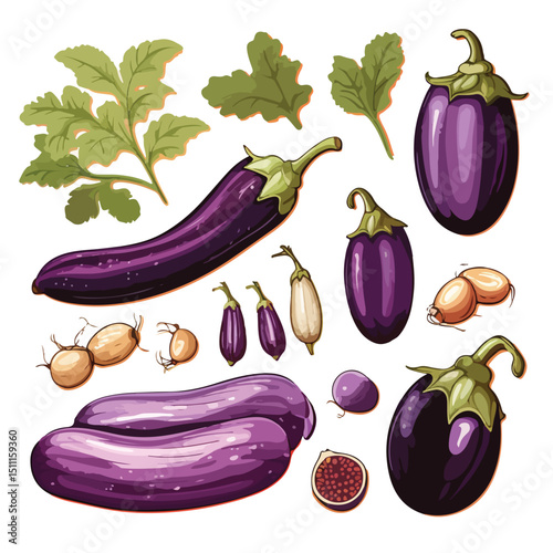 Nutritious Purple Eggplant Vegetable for Healthy Diet Illustration in Vector Art