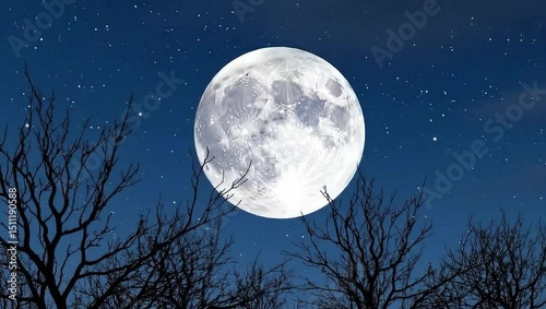 Wide nighttime landscape of a large moon slowly rising behind bare, leafless tree branches.
