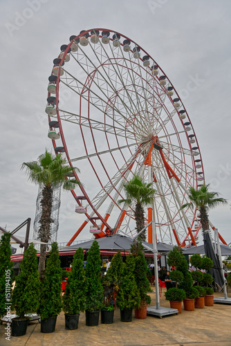 Large Ferris wheel surrounded by palm trees and greenery, set in an outdoor amusement area with small cafes. Scene captures vibrant and fun environment, perfect for leisure and family activities