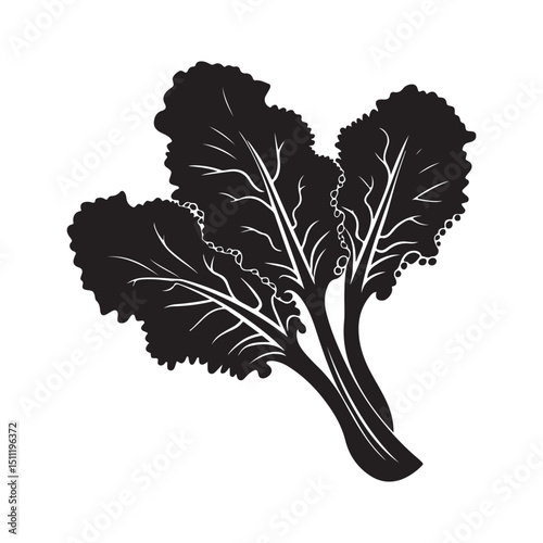 Black and white swiss chard vector illustration healthy food design silhouette
