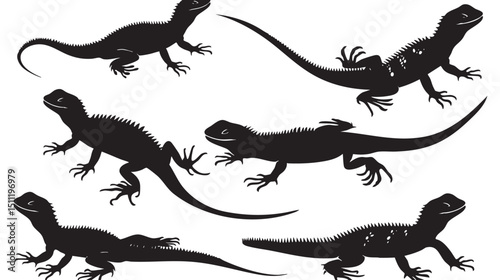 Lizards silhouette isolated in White background