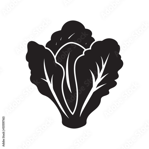 Vector illustration of fresh lettuce salad vegetable icon design art silhouette