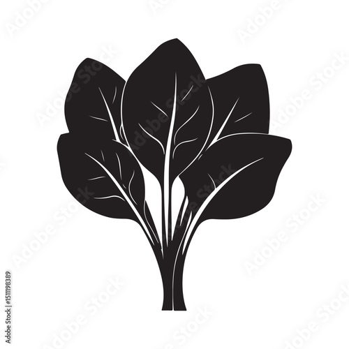 Spinach vector illustration fresh healthy food nutrition diet design silhouette
