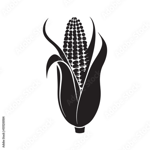 Corn vector illustration black and white maize agriculture isolated silhouette