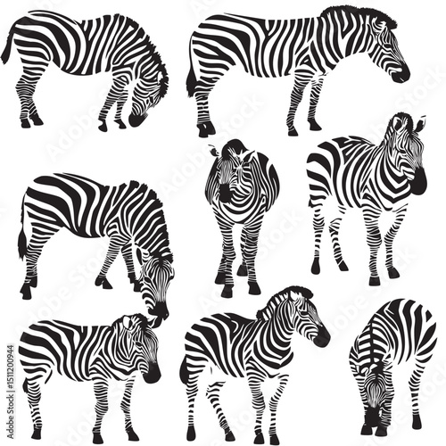 zebra silhouette set, Black & White silhouette set