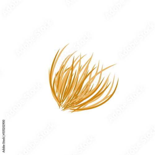 tumbleweed grass vector illustration