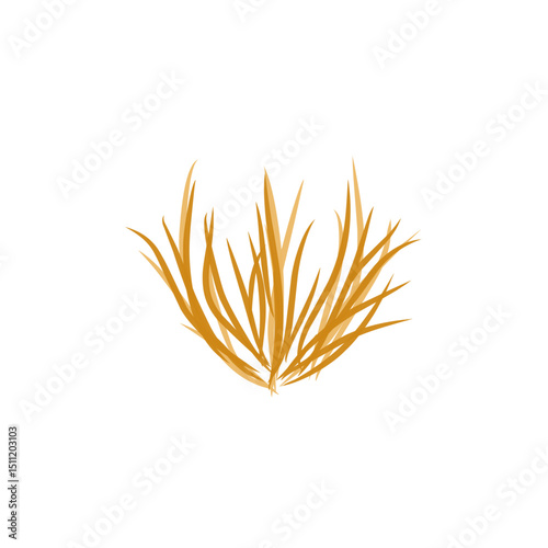 tumbleweed grass vector illustration