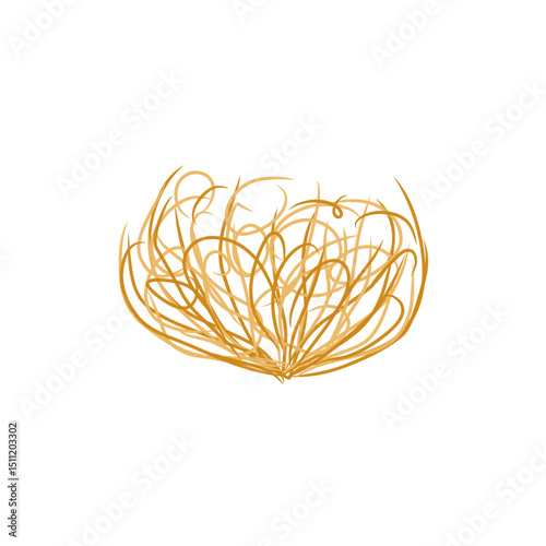 tumbleweed grass vector illustration