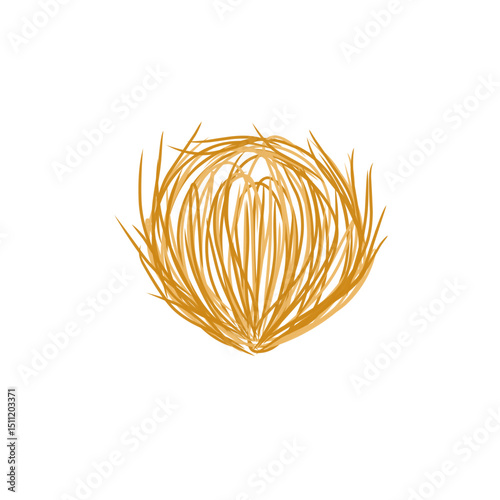 tumbleweed grass vector illustration