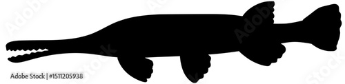 Longnose Gar Silhouette Vector Fish Shadow Illustration