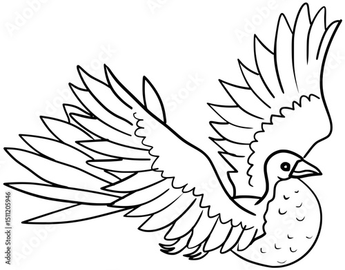 Magnificent Frigate Bird Vector Cartoon Outline Drawing