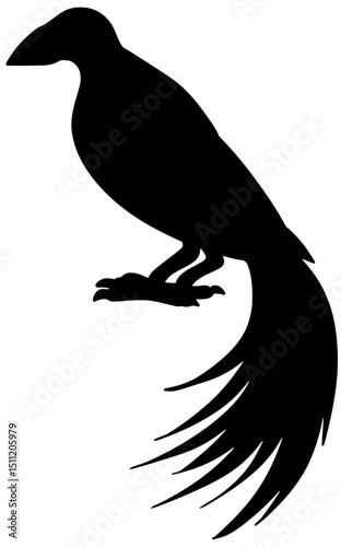 Lesser Bird Of Paradise Silhouette Vector Shadow Illustration