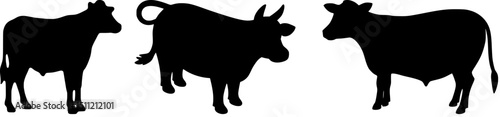 Cow Silhouette Vector Set – Collection of Farm Cattle in Various Standing Poses – Isolated Black Cow Illustrations on White Background for Agriculture, Farm, and Animal Design Projects
