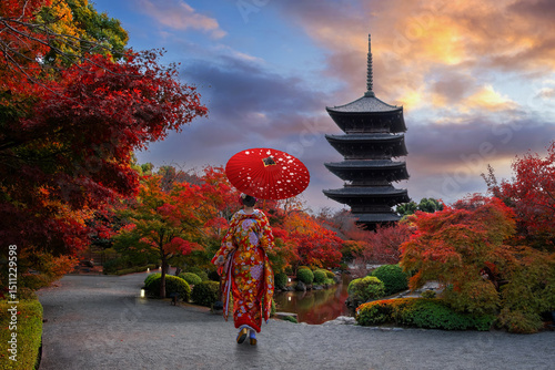 Japanese Woman in  Traditional Kimono Dress at Toji Temple in Kyoto, Japan with beautiful garden and autumn foliage