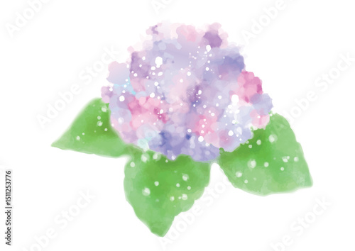 ふんわり色がにじんだ水彩の紫陽花