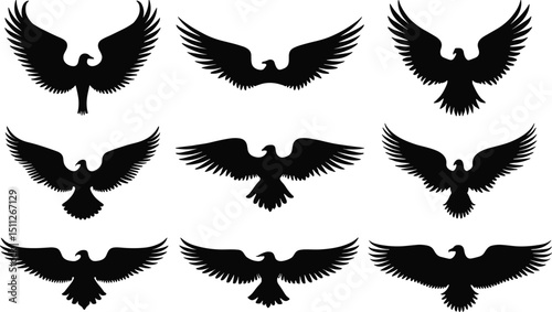 Eagle Silhouette Vector Set – Flying Bird Icons on Transparent Background photo