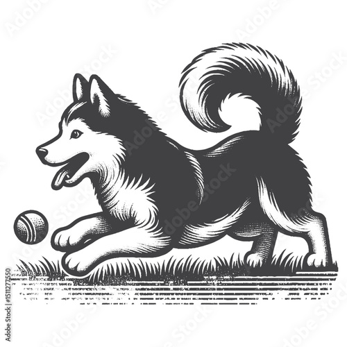 Vintage Hand-Drawn Siberian Husky Illustration – Playing Ball Dog Engraved Style Vector for T-Shirts Posters Stickers and Pet Themes Apparel