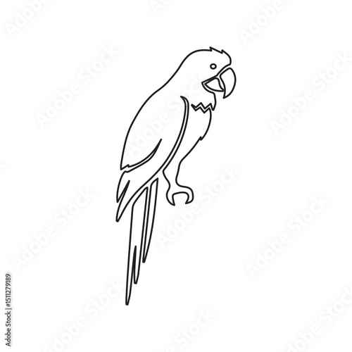 lorikeet line icon
