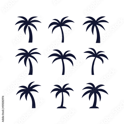 tropical coconut, palm tree silhouette photo