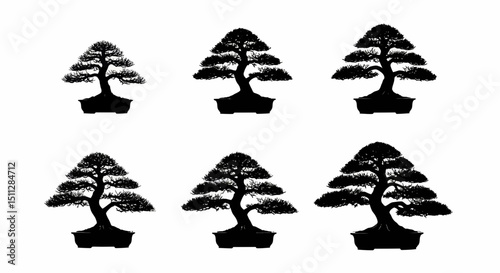 Bonsai Collection: A curated collection of Bonsai trees, each meticulously shaped and pruned, offering a serene glimpse into the art of miniature landscaping.