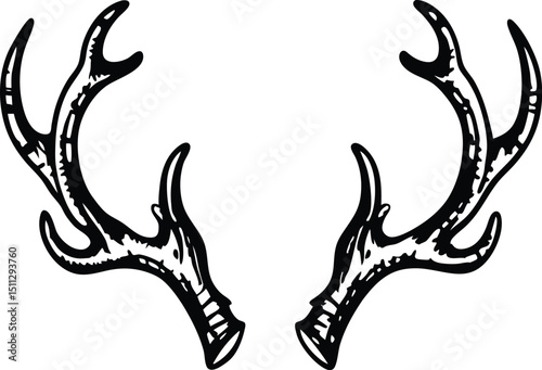 Hand Drawn Deer Antlers Illustration in Black and White Style