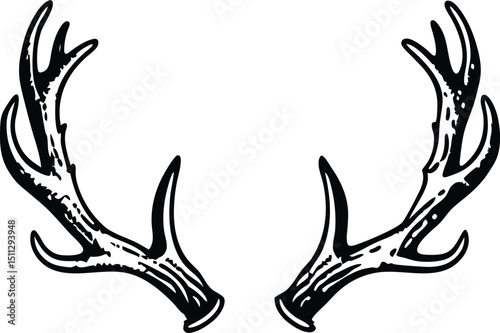 Hand Drawn Deer Antlers Illustration in Black and White Style