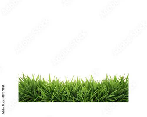 green grass frame top bottom border illustration