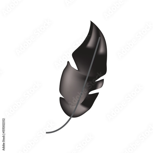 Vector feather image illustration of feathers can be used to make shuttlecocks and decorations