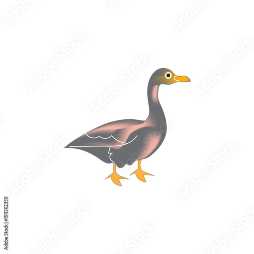 Canvas Print duck vector image illustration of duck or teal common name for several species o