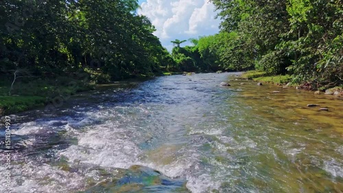 Clear water river flows through dense tropical vegetation in Río Maimón, Cotuí, Dominican Republic, near Barrick Gold mine. Aerial flyover photo