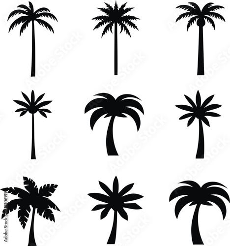 Collection of Palm Tree Silhouettes in Vector Format on White Background
