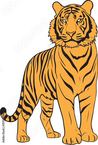 standing tiger vector illustration, wildlife hunter 