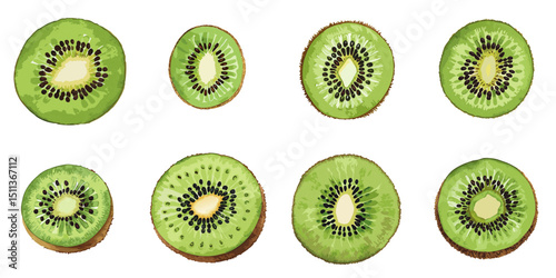 Multiple vector illustrations sliced kiwi, watercolor style