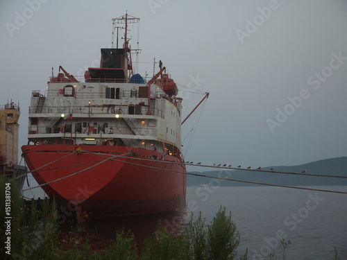 Birds sitting on ship mooring rope