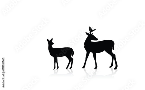 Deer-01