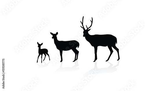 Deer-01