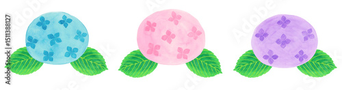 三色のアジサイと葉っぱの水彩イラスト素材