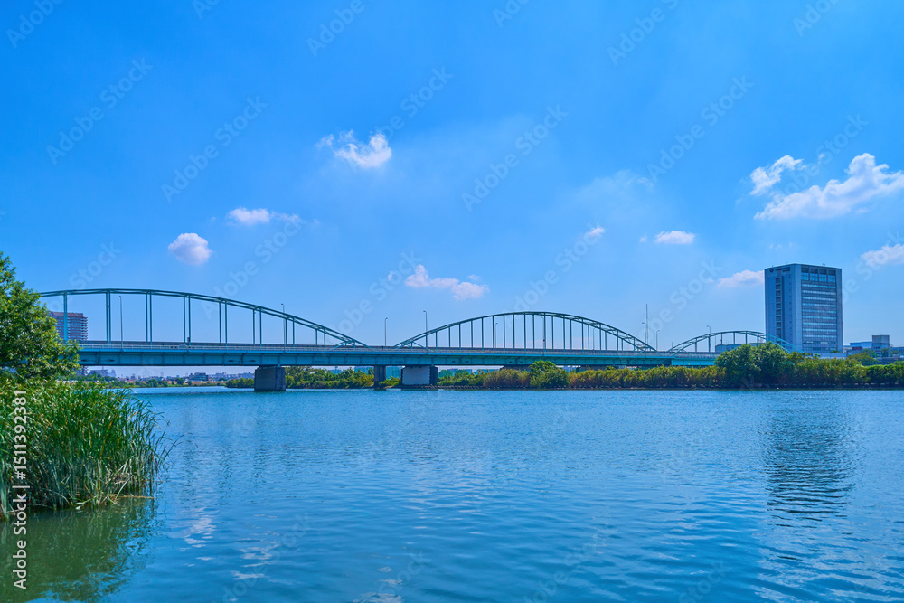 Fototapeta premium 夏の東京都大田区矢口3丁目の河川敷から多摩川大橋と多摩川専用橋方面を見る