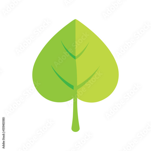 Green leaf vector on white background 