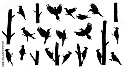 Collection of Woodpecker Silhouettes Diverse Poses and Tree Trunks for Design Projects