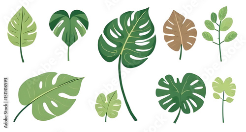 forest leaves, leaves flat design, leaf minimal icons, fresh foliage set, leaf cartoon vector, herbal foliage, lush green leaves, plant foliage vector, leaves collection, assorted leaves, botanical fo