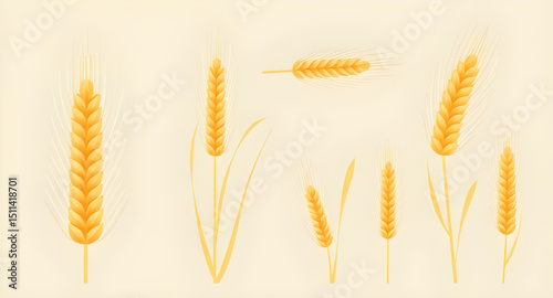 grains illustration set