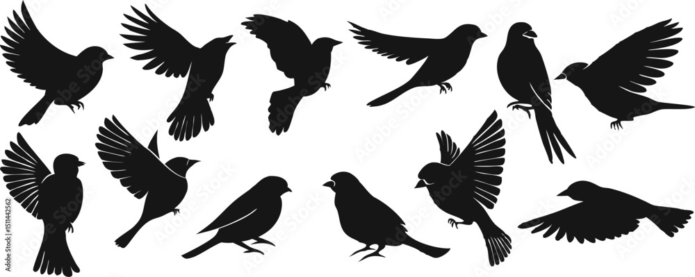 Obraz premium Various Birds Vector Illustration – Colorful Wild Birds in Diverse Poses and Styles.