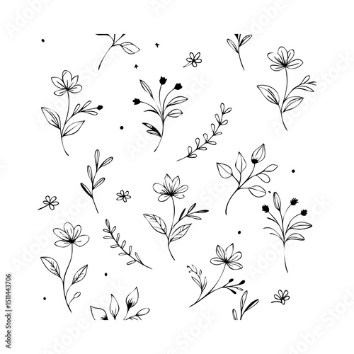 Delicate Botanical Doodles and Floral Elements